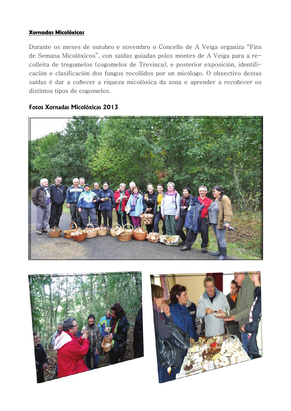 Xornadas Micolóxicas de A Veiga – Proyecto Tregumelos